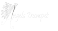 Angels Trumpet